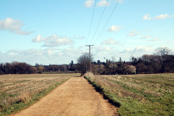 land near Brookland Farm March 2008